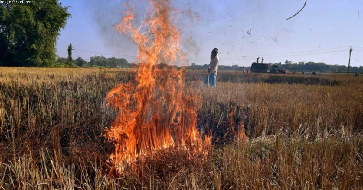 NHRC seeks detailed report from Punjab on stubble burning